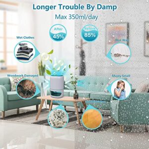 Hoomace Small Dehumidifiers for Bedroom w/Air Purifying Function, 1000ml/35oz for 2500 Cubic Feet (260 sq ft) with 7 Colorful LED Lights - Timer Set - Negative Ions - Below 30dB, Auto Shut-Down