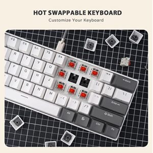 iLovBee i61 Mechanical Keyboard 60 Percent, Wired Hot Swappable Compact RGB Gaming Keyboard, 61 Keys Mini Keyboard with Red Switch for PC/Mac Gamer, Software Supported, Grey-White