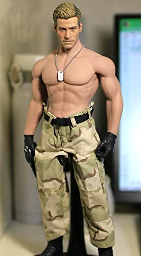 HiPlay TBLeague 1/6 Scale Seamless Male Action Figure Body- 12 Inch Super Flexible Collectible Figure Dolls (M30)