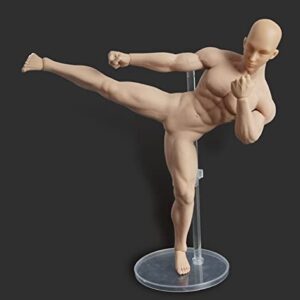 HiPlay TBLeague 1/6 Scale Seamless Male Action Figure Body- 12 Inch Super Flexible Collectible Figure Dolls (M30)