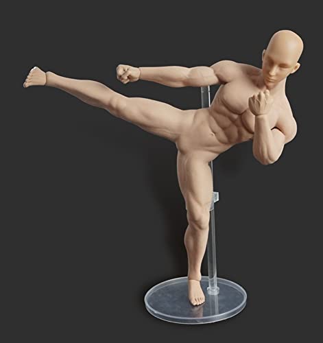 HiPlay TBLeague 1/6 Scale Seamless Male Action Figure Body- 12 Inch Super Flexible Collectible Figure Dolls (M30)