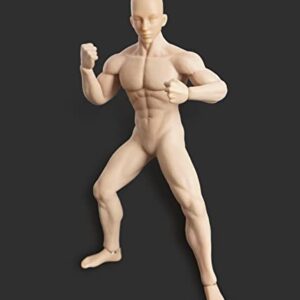 HiPlay TBLeague 1/6 Scale Seamless Male Action Figure Body- 12 Inch Super Flexible Collectible Figure Dolls (M30)