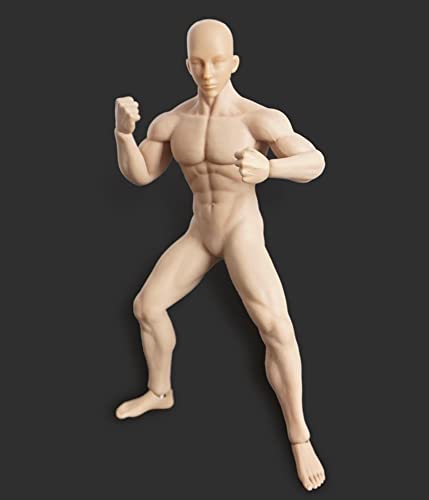 HiPlay TBLeague 1/6 Scale Seamless Male Action Figure Body- 12 Inch Super Flexible Collectible Figure Dolls (M30)