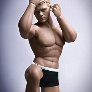 HiPlay TBLeague 1/6 Scale Seamless Male Action Figure Body- 12 Inch Super Flexible Collectible Figure Dolls (M30)