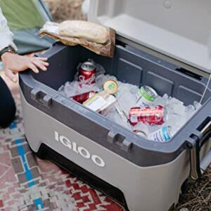 Igloo 52 Qt BMX Gray Cooler