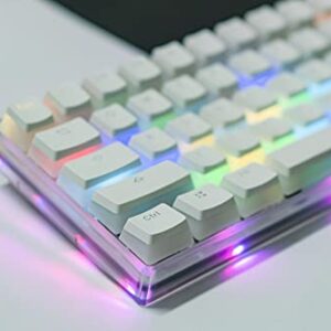 Smart Duck XS-61K 60% TKL Wired Pudding Keycaps Mechanical Gaming Keyboard,RGB LED Backlit N-Key Rollover,Hot Swappable, Red Switch （Transparent White）