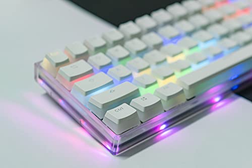 Smart Duck XS-61K 60% TKL Wired Pudding Keycaps Mechanical Gaming Keyboard,RGB LED Backlit N-Key Rollover,Hot Swappable, Red Switch （Transparent White）