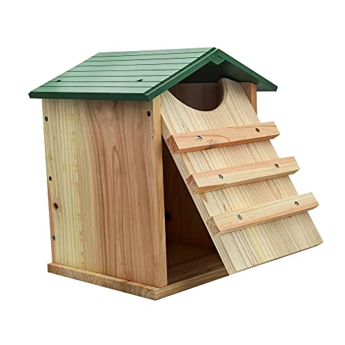 Prolee Screech Owl House Hand Made 14 x 10 Inch Cedar Wood Owl Box with Mounting Screws, Easy Assembly Required (Standard)
