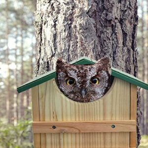 Prolee Screech Owl House Hand Made 14 x 10 Inch Cedar Wood Owl Box with Mounting Screws, Easy Assembly Required (Standard)