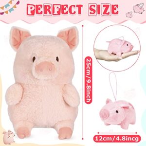 Zomiboo 5 Pcs Pig Baby Plush Cute Stuffed Animal Toy Set, Mini Pig Stuffed Animal Stuffed Pig Plush for Baby Shower Birthday Party Favors Gifts, Students Classroom Prizes, 4 inches