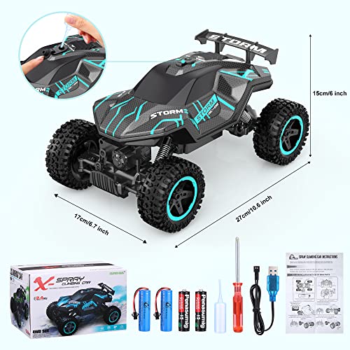 HOMYE Remote Control Car, 1:16 RC Cars for Boys Age 4-7 8-12 with Scale Sprays and Lights, 2 Batteries for 60 Minutes Playtime, All Terrains RC Drift Car for Boys Girls