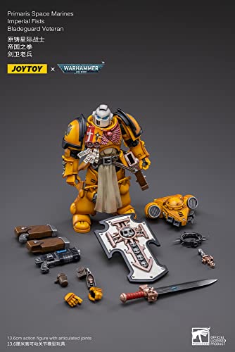 HUAXI DARK SOURCE(HAINAN)TECH JOYTOY WH 40K PRIMARIS Imperial FIST BLADEGUARD Vet 1/18 FIG