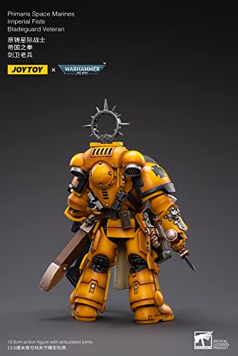 HUAXI DARK SOURCE(HAINAN)TECH JOYTOY WH 40K PRIMARIS Imperial FIST BLADEGUARD Vet 1/18 FIG