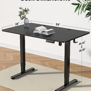 ErGear Height Adjustable Electric Standing Desk, 55 x 28 Inches Sit Stand up Desk, Memory Computer Home Office Desk (Black)