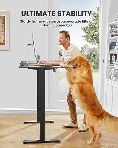 ErGear Height Adjustable Electric Standing Desk, 55 x 28 Inches Sit Stand up Desk, Memory Computer Home Office Desk (Black)