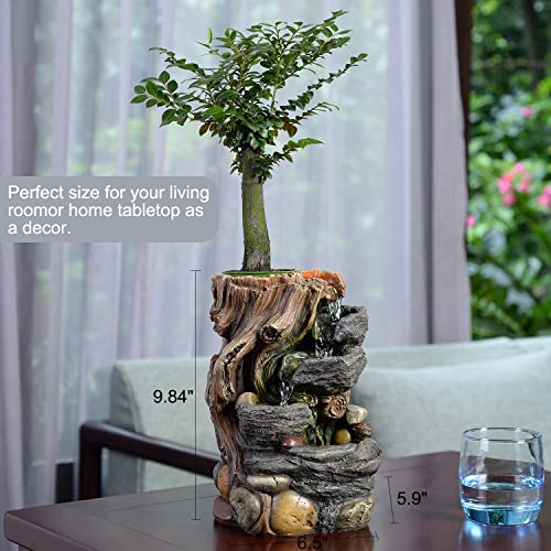 GOSSI Indoor Fountain Decorative 5-Tier Rockery Tabletop Fountains with a Small Plastic Pot to Grow The Plant by Yourself(Auto Watering)(22021)