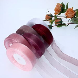 1 Inch Organza Ribbon 300 Yards, Sheer Chiffon Ribbon for Gift Wrapping Decoration, Transparent Tulle Ribbon for Birthday Presents, Cards, Wedding Invitations, Bows Crafts (6 Rolls* 50 Yards)