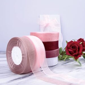 1 Inch Organza Ribbon 300 Yards, Sheer Chiffon Ribbon for Gift Wrapping Decoration, Transparent Tulle Ribbon for Birthday Presents, Cards, Wedding Invitations, Bows Crafts (6 Rolls* 50 Yards)