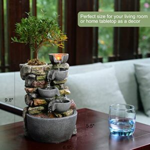 Haobos Indoor Fountain 4-Bowl Rockery Soothing Sound Tabletop Fountains Home/Office Decor with a Small Plastic Pot to Grow The Plant by Yourself(Automatic Watering)(22023)