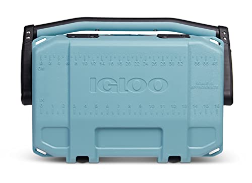 Igloo 25 Qt Celadon BMX Cooler