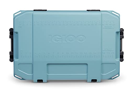 Igloo 52 Qt Celadon BMX Cooler