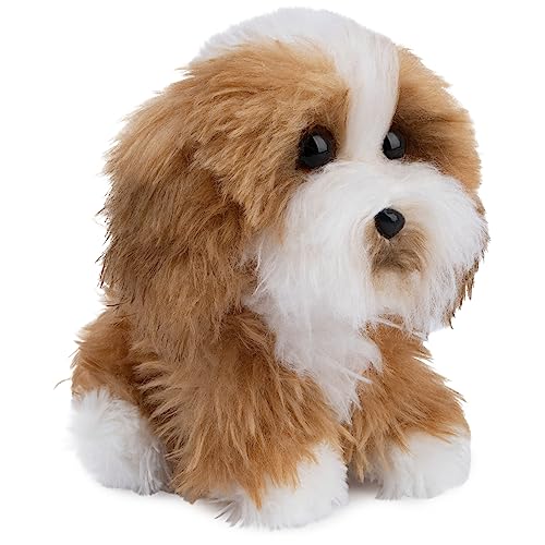 GUND Boo, The World’s Cutest Dog, Boo & Friends Collection Tibetan Terrier Puppy, Stuffed Animal for Ages 1 and Up, 5”