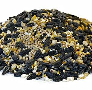 CountryMax Songbird Wild Bird Seed 50 Pounds