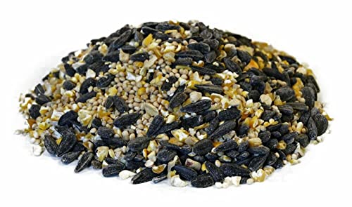 CountryMax Songbird Wild Bird Seed 50 Pounds