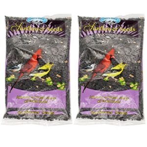 2 bags wild bird black oil sunflower seeds food protein nutrition attract birds, variable