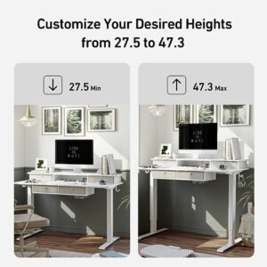 FEZIBO Sturdy Height Adjustable Electric Standing Desk with Drawers, 63 x 24 Inch Stand Up Table with Large Storage Shelf, Sit Stand Desk, White Top