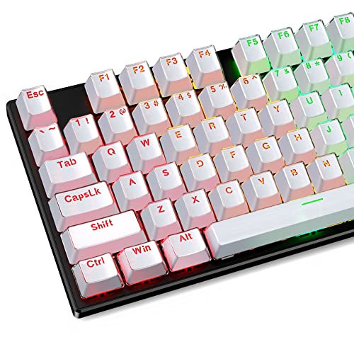 Pudding Keycaps-RisoPhy Double Shot PBT Keycap Set for Mechanical Keyboard,OEM Profile with Keycap Puller,Compatible with 104 Keys Full Size,80%,75%,60% Percent Keyboard-Crystal