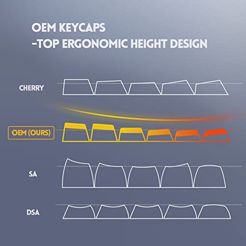 Pudding Keycaps-RisoPhy Double Shot PBT Keycap Set for Mechanical Keyboard,OEM Profile with Keycap Puller,Compatible with 104 Keys Full Size,80%,75%,60% Percent Keyboard-Crystal