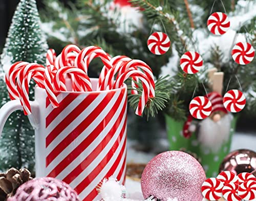 60Pcs Candy Canes Christmas Tree Decorations-Plastic Peppermint Candy Cane Ornaments for Christmas Tree Decor Candy Lollipop Craft Christmas Party Supplies
