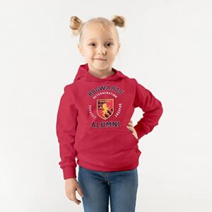 Harry Potter Gryffindor Red Alumni hoodies