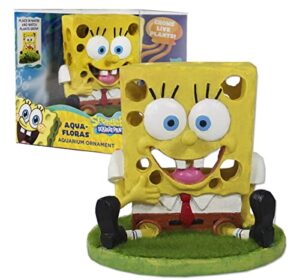 penn-plax spongebob squarepants aqua-flora living aquarium decoration with embedded glosso plant seeds – spongebob