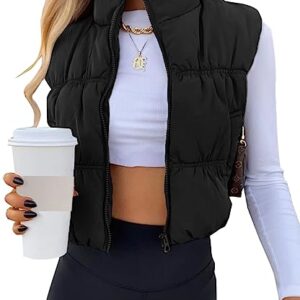 SySea Women's Crop Puffer Vest Winter Zip Up Lightweight Sleeveless Warm Outerwear Padded Coat