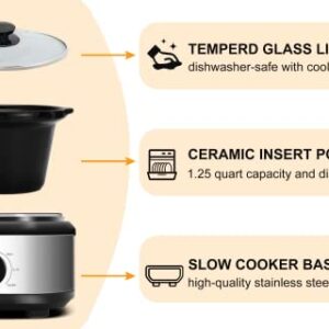 Dual Slow Cooker, Buffet Servers and Warmers with 2 X 1.25Qt, Tempered glass lids and Lid Rests, 3 Adjustable Temp, Stainless Steel