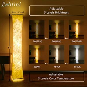 Pehtini Floor Lamps for Living Room 61" LED Floor Lamp,Corner Floor Lamp,RGB Color Changing Floor Lamp,Smart Dimmable Floor Lamp with Remote & APP Control & Music Sync,Modern Floor Lamp for Bedroom