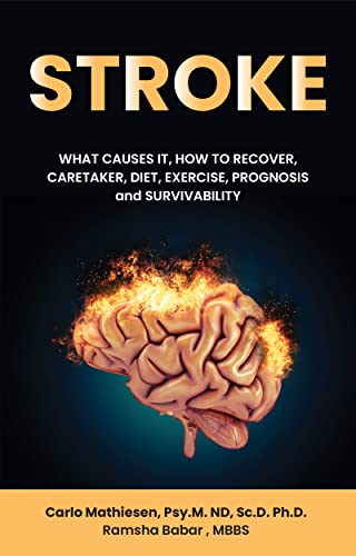 STROKE: WHAT CAUSES IT, HOW TO RECOVER, CARETAKER, DIET, EXERCISE, PROGNOSIS and SURVIVABILITY