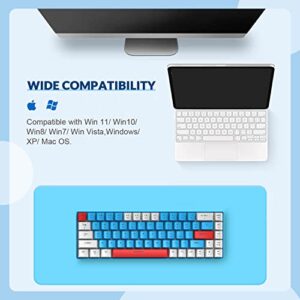 ZIYOU LANG RK-T8 Wired 65% Mechanical Gaming Keyboard with RGB LED Backlit Anti-ghosting TKL Mini 68 Key Custom Coiled C to A Cable Tactile Blue Switch for PS4 PS5 Xbox PC Mac Gamer(White/Blue/Red)