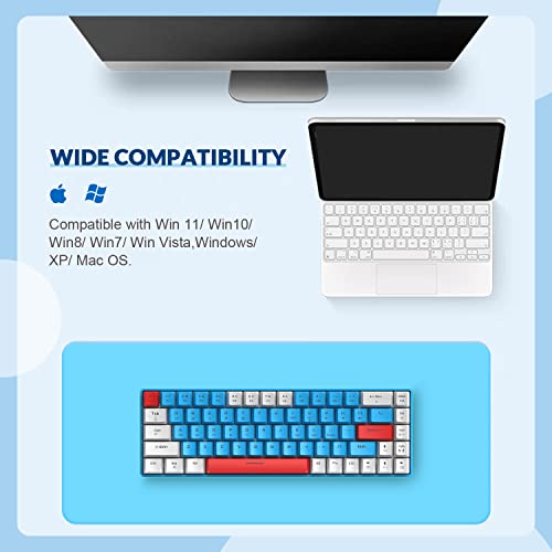 ZIYOU LANG RK-T8 Wired 65% Mechanical Gaming Keyboard with RGB LED Backlit Anti-ghosting TKL Mini 68 Key Custom Coiled C to A Cable Tactile Blue Switch for PS4 PS5 Xbox PC Mac Gamer(White/Blue/Red)