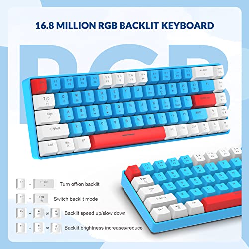 ZIYOU LANG RK-T8 Wired 65% Mechanical Gaming Keyboard with RGB LED Backlit Anti-ghosting TKL Mini 68 Key Custom Coiled C to A Cable Tactile Blue Switch for PS4 PS5 Xbox PC Mac Gamer(White/Blue/Red)