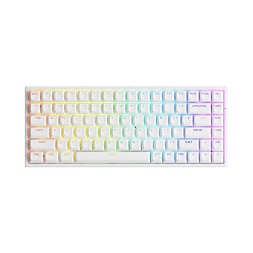 Akko Keycaps Top Printed Shine-Through with ASA Profile, White Keycaps PBT Double-Shot Keycaps for Mechanical Keyboards