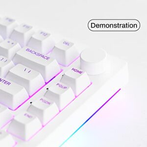 Akko Keycaps Top Printed Shine-Through with ASA Profile, White Keycaps PBT Double-Shot Keycaps for Mechanical Keyboards