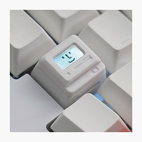 Custom Keycaps - Light Transmission Keycaps - Classic Retro Mechanical Backlit Keyboard Keycap. Suitable for Most MX Switches RGB PC Gamer Mechanical Keyboard (White)