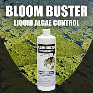 Bloom Buster Pond Algae Control - 16oz - Fast Acting Algaecide, Use in Fountains & Outdoor Ponds Containing Koi & Other Fish - EPA Registered