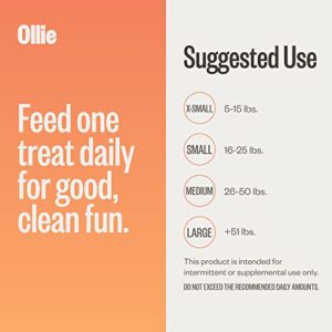 Ollie Dental Chews for Dogs Large- Dog Breath Treats - Dog Teeth Cleaning Treat - Dental Sticks for Dogs - Fresh Breath for Dogs - Dog Dental Chews - Dog Dental Care - 12 Oz.