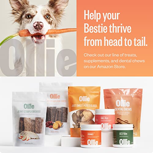 Ollie Dental Chews for Dogs Large- Dog Breath Treats - Dog Teeth Cleaning Treat - Dental Sticks for Dogs - Fresh Breath for Dogs - Dog Dental Chews - Dog Dental Care - 12 Oz.