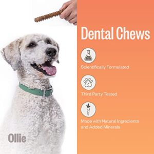 Ollie Dental Chews for Dogs Large- Dog Breath Treats - Dog Teeth Cleaning Treat - Dental Sticks for Dogs - Fresh Breath for Dogs - Dog Dental Chews - Dog Dental Care - 12 Oz.