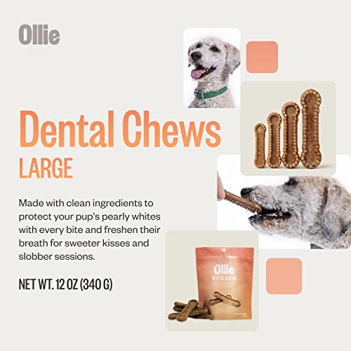 Ollie Dental Chews for Dogs Large- Dog Breath Treats - Dog Teeth Cleaning Treat - Dental Sticks for Dogs - Fresh Breath for Dogs - Dog Dental Chews - Dog Dental Care - 12 Oz.